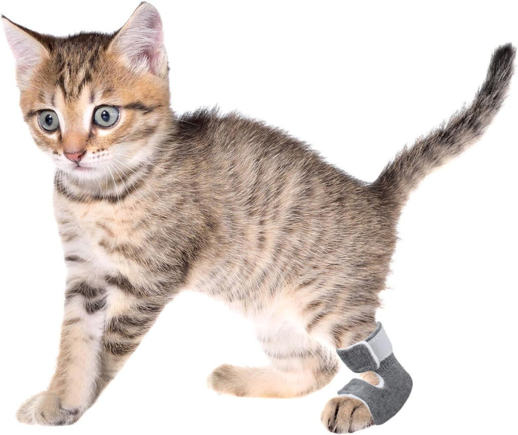 Vomvomp brand protective cat socks for wound care