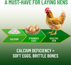 Fine flaked oyster shell texture poured out for poultry feeding