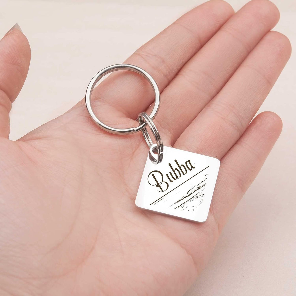 Anavia laser-engraved durable dog collar tag highlighting the silver finish.