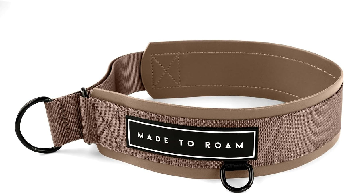 MADE TO ROAM Premium Everyday Dog Collar - Martingale Style No Pull Vegan Leather Collar, Heavy Duty and Lightweight for Small, Medium, Large Dogs (California Horizon, Size 7) - Image 15