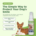 Adore Pet brush free dog plaque and tartar remover gel four ounces