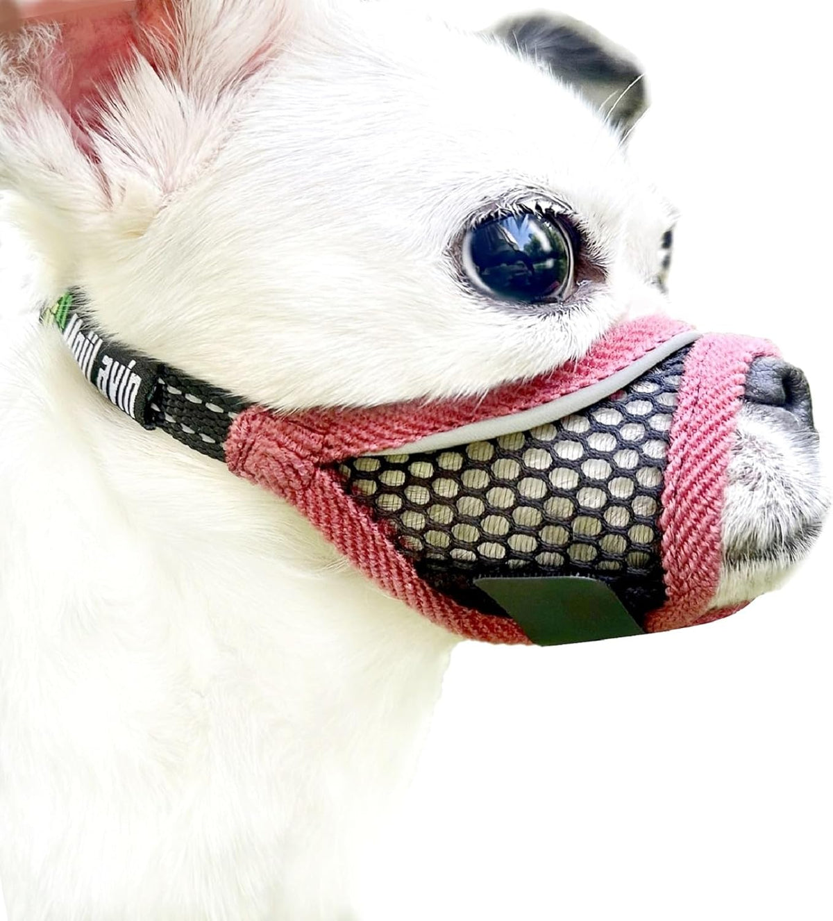 MoiiLavin soft mesh dog muzzle front view for small breeds