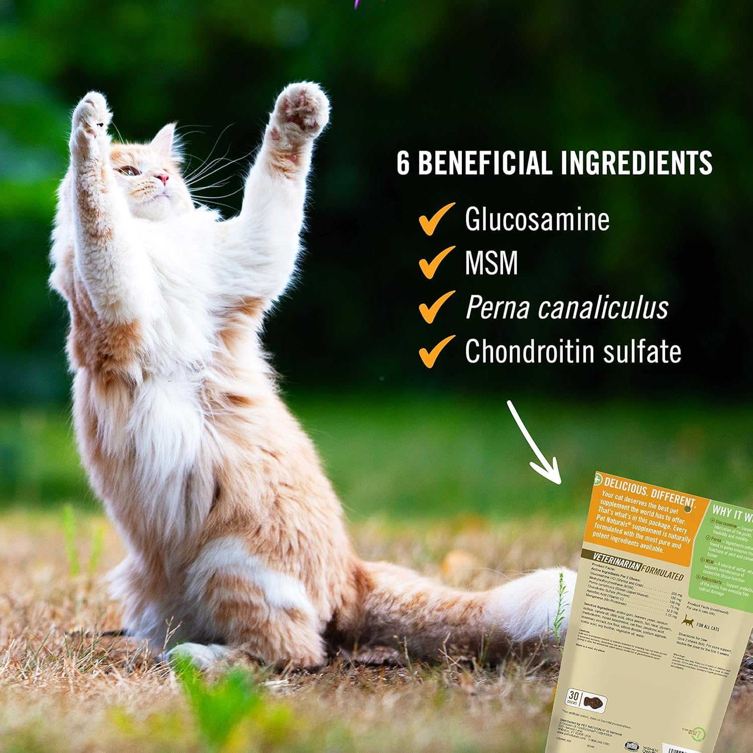 Close up of Pet Naturals hip and joint ingredient label for cats