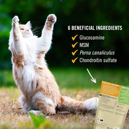 Close up of Pet Naturals hip and joint ingredient label for cats