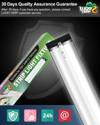 Complete reptile health kit for bone disease prevention in desert lizards.