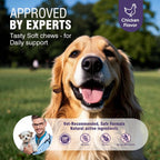 Premium USA imported dog allergy supplement packaging for Indian pet parents.