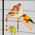 ZooVibe Bird Perches Platform Swing front view with mirror toy