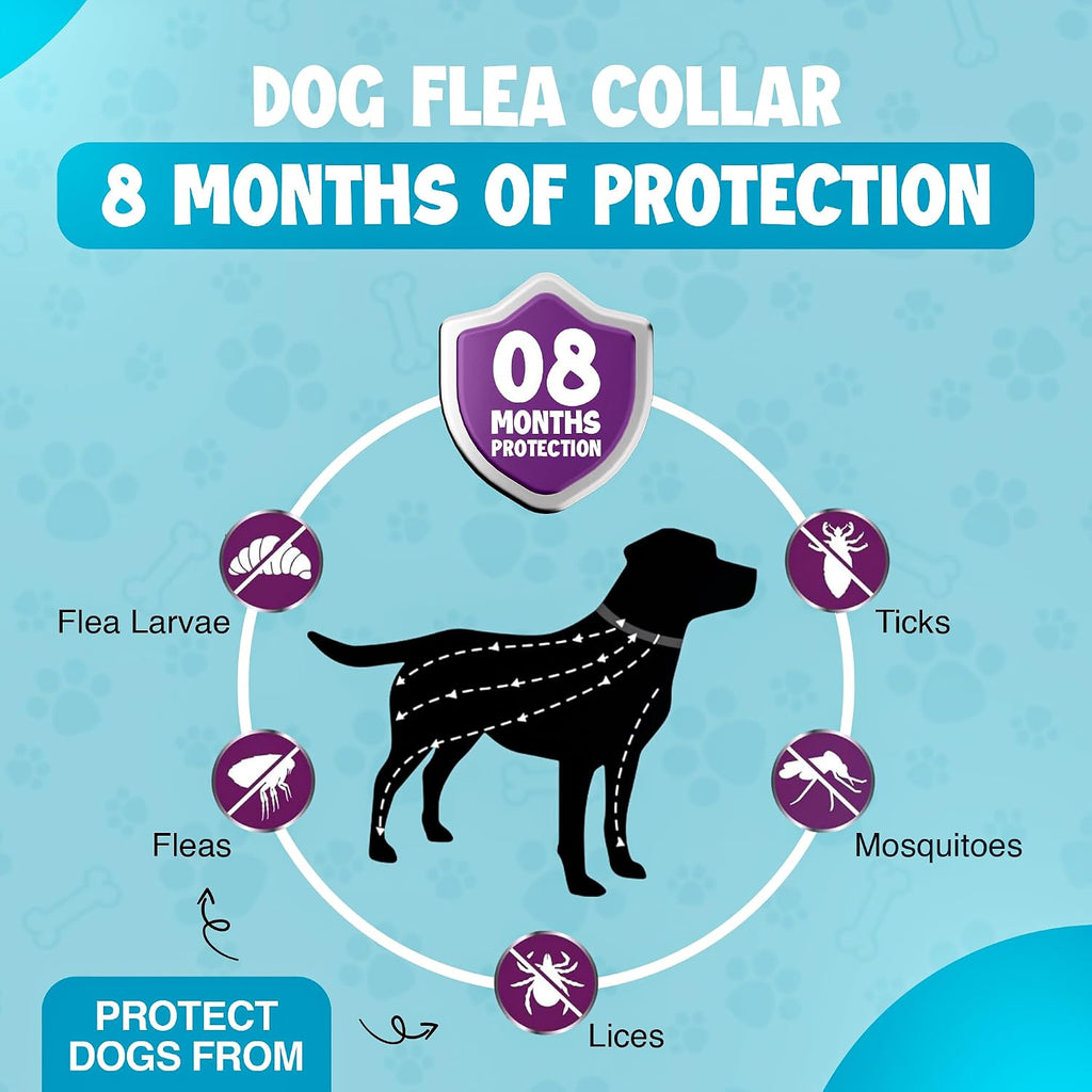 Adjustable waterproof gray flea collar for dogs and puppies