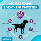 Adjustable waterproof gray flea collar for dogs and puppies