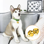 Premium Xthrotsenk golden large dog bells pack of two layout on a clean commercial background