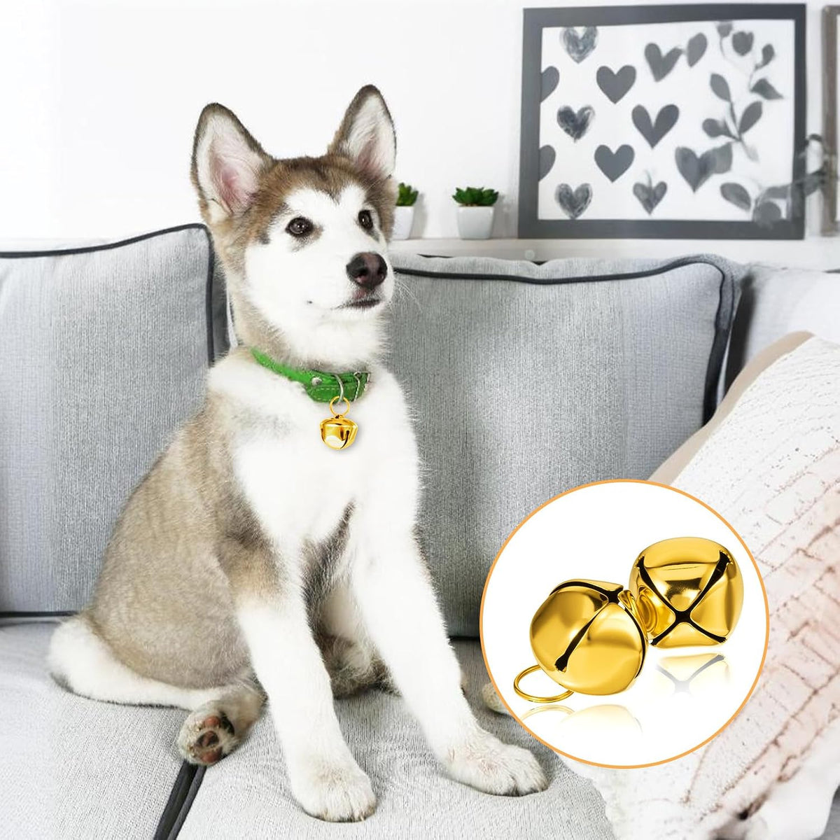 Premium Xthrotsenk golden large dog bells pack of two layout on a clean commercial background