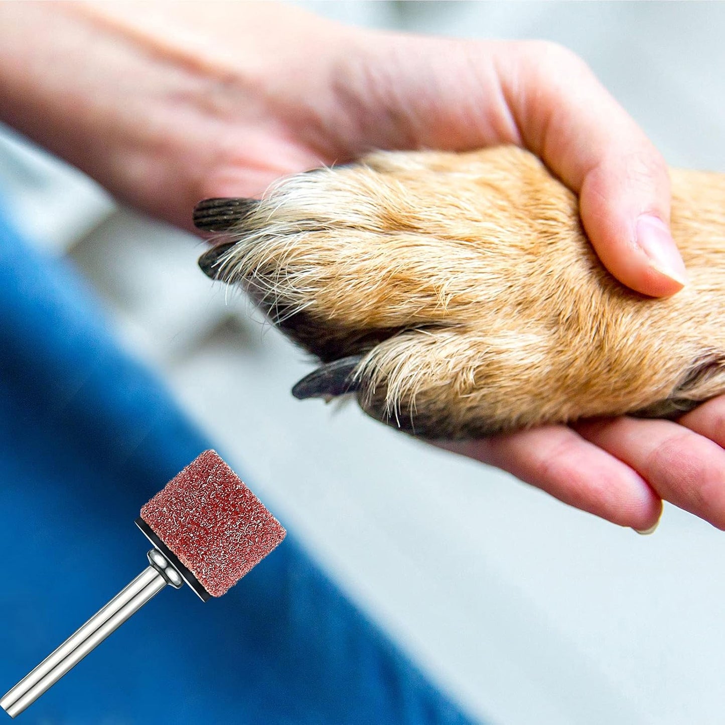 Components of Leelosp nail grinder kit for dog claw care