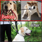 CBBPET silver large training collar laid flat showing how to add or remove interlocking metal links