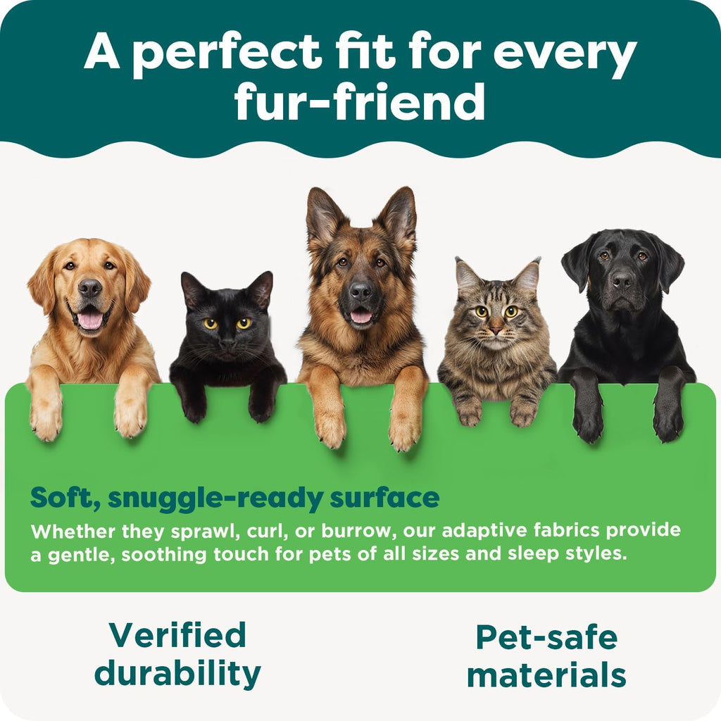 Furhaven calming shag protective throw for large breed dogs