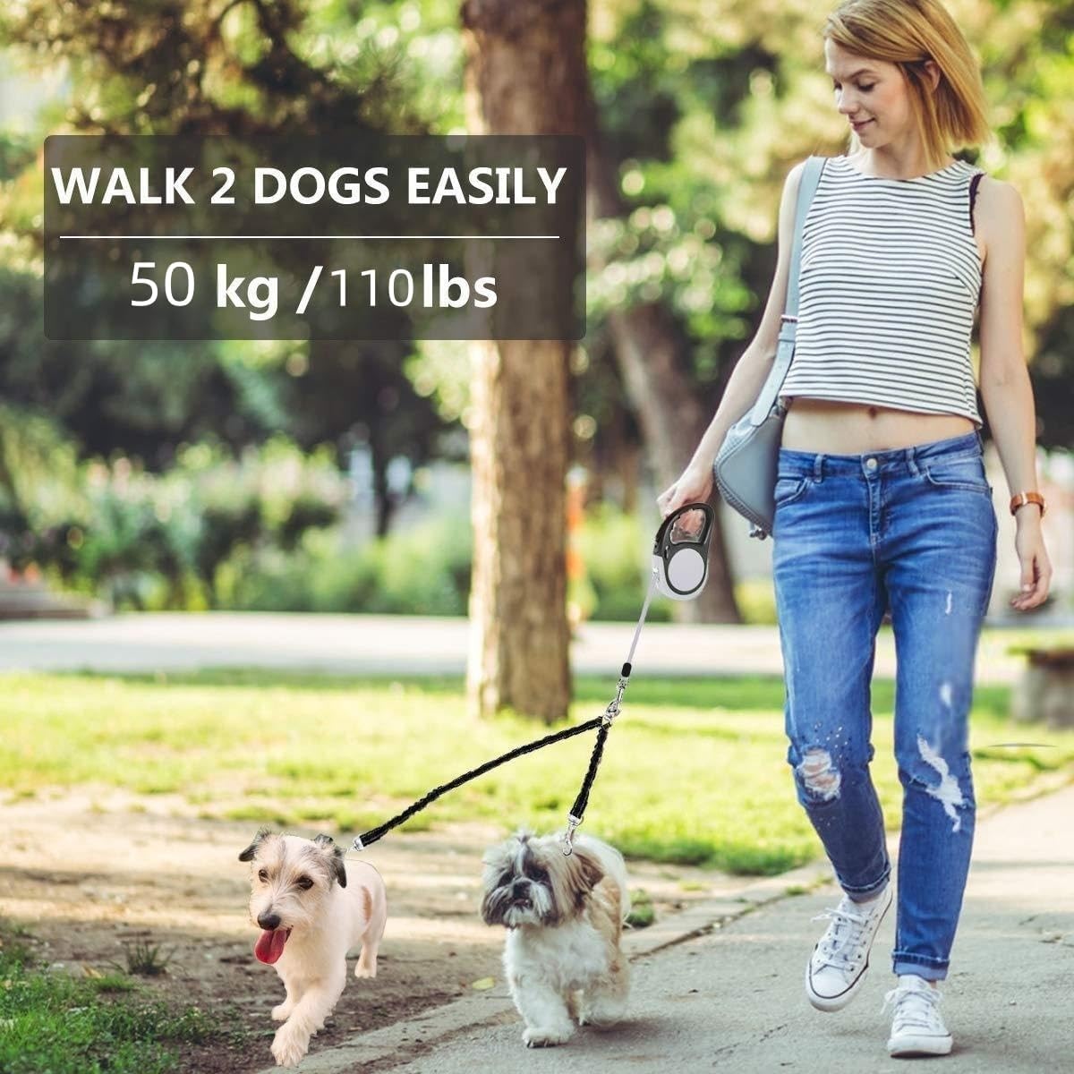 Side profile of gray YaLunpc large breed double leash