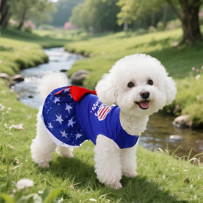 Phnydreg small female dog tulle skirt outfit for summer parties
