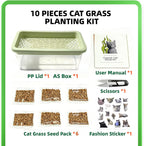 Step-by-step instructions illustration for setting up the water-based feline grass system.