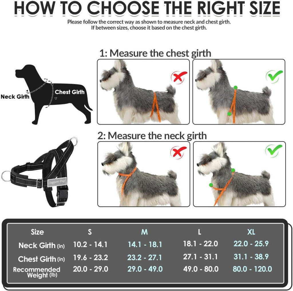 SlowTon reflective dog harness showcasing the high visibility stitching under low light conditions.