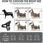 SlowTon reflective dog harness showcasing the high visibility stitching under low light conditions.