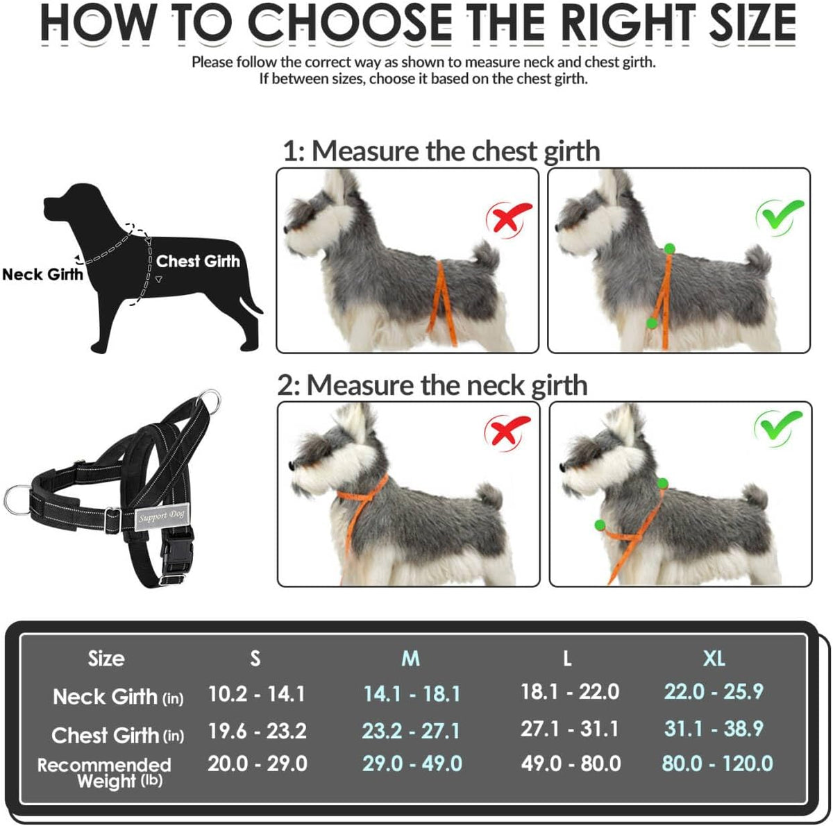 SlowTon reflective dog harness showcasing the high visibility stitching under low light conditions.
