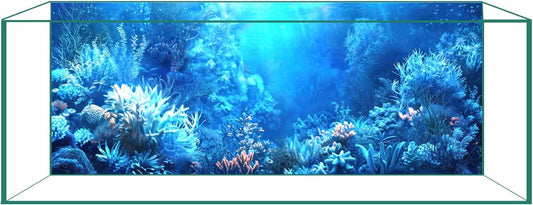 CICK SEED aquarium background front view showing vibrant blue ocean theme underwater scenery.