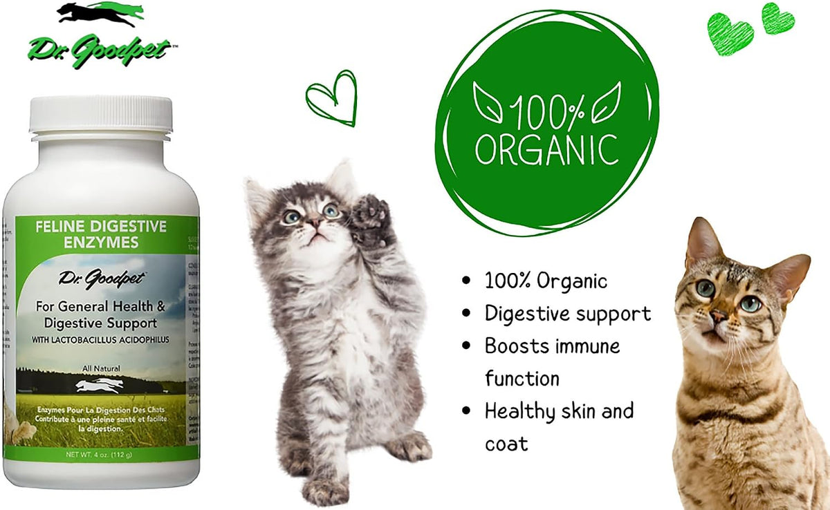 Premium Dr. Goodpet daily digestive powder showing clear USA imported packaging for cat gut health.