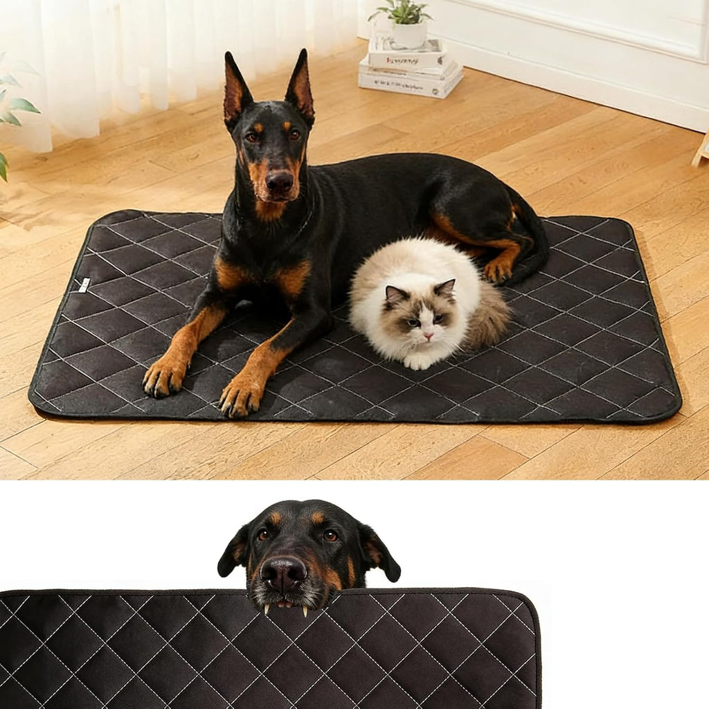 Zcoyjbi chew proof dog crate pad front view in black