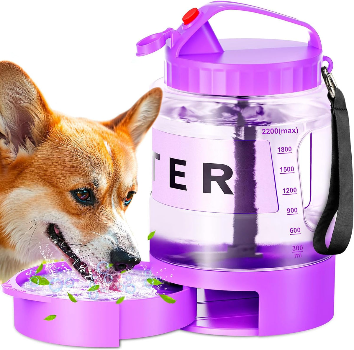SwSun 77 Ounce Large Dog Water Bottle Purple front view with pull out bowl extended.