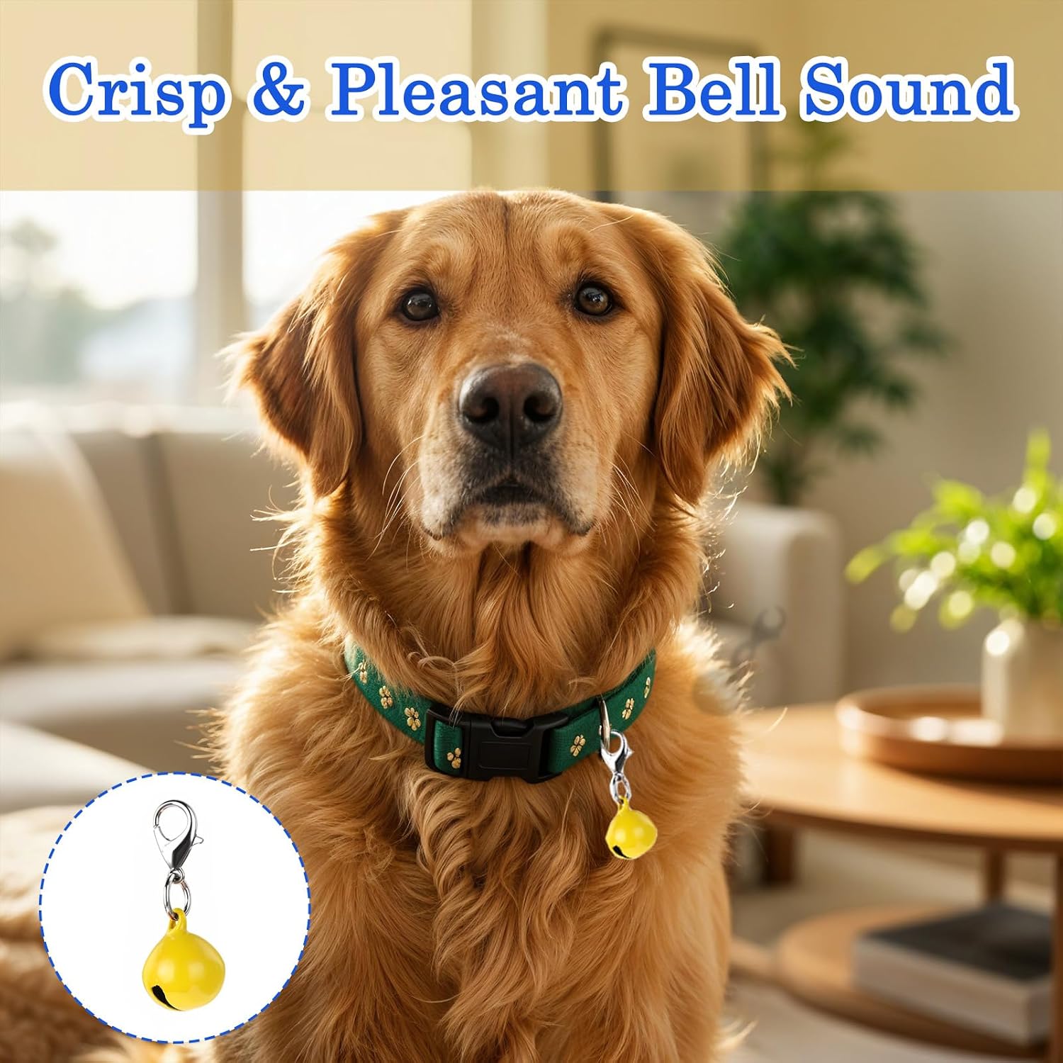 Sorcristy pet collar bells showing the glossy green gold blue and painted red finishes.