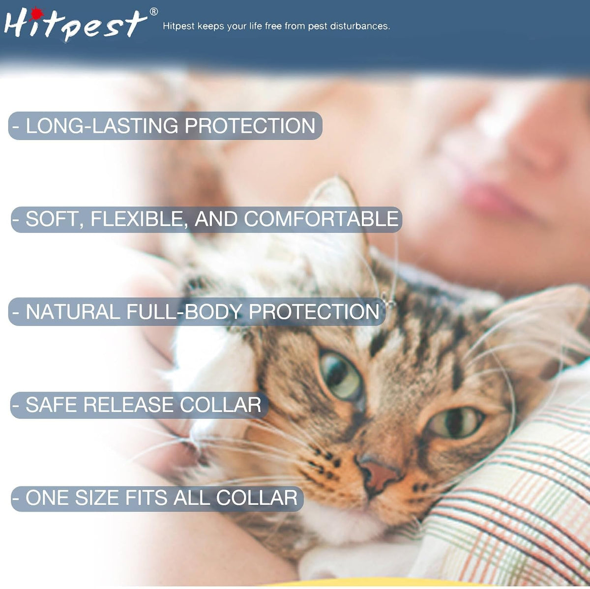 Natural plant oil flea collar for indoor and outdoor cats