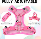 Adjustable escape proof pet vest harness on a cat showing secure back fit