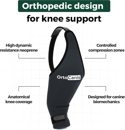 Authentic Ortocanis packaging demonstrating how to measure a dog for large sizing
