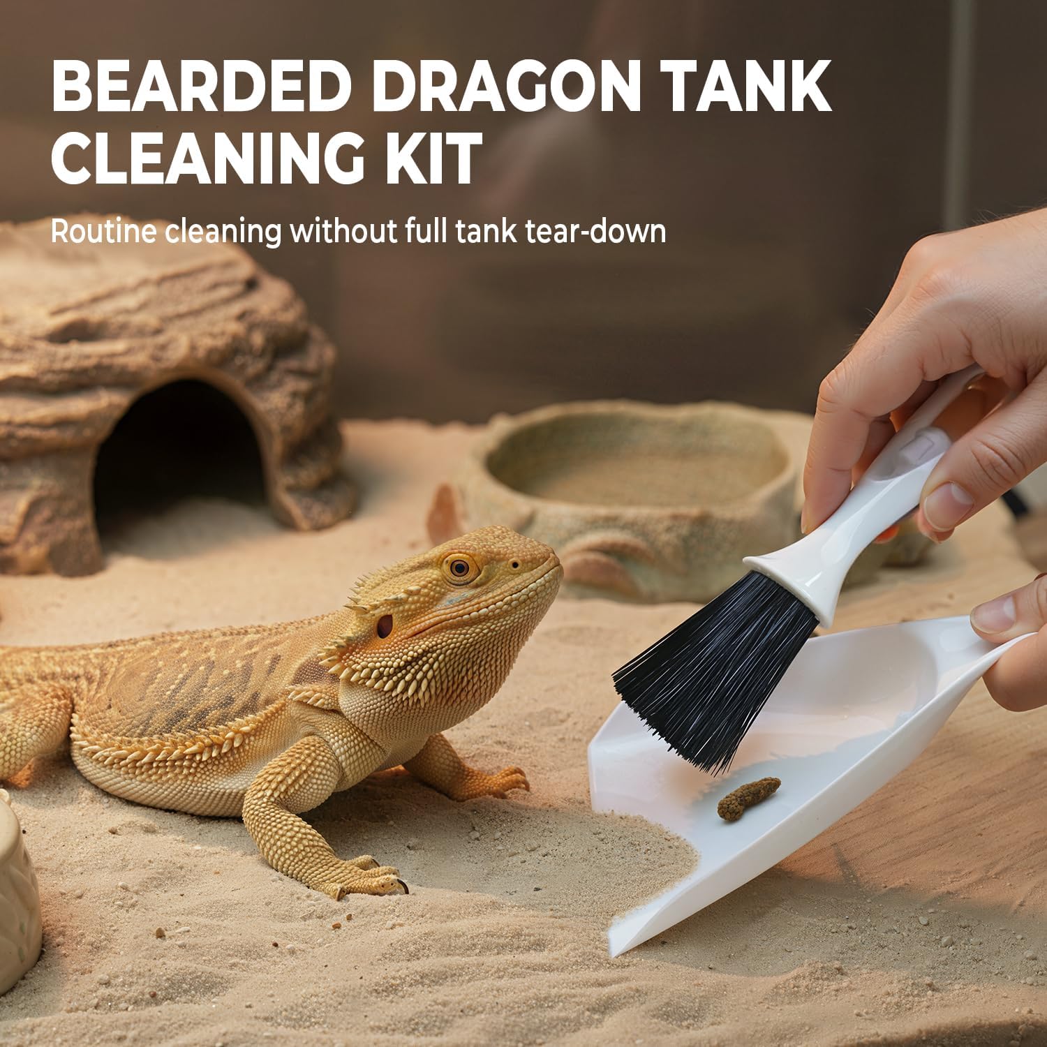 HouseBegan reptile tank mini dustpan and broom set for enclosure