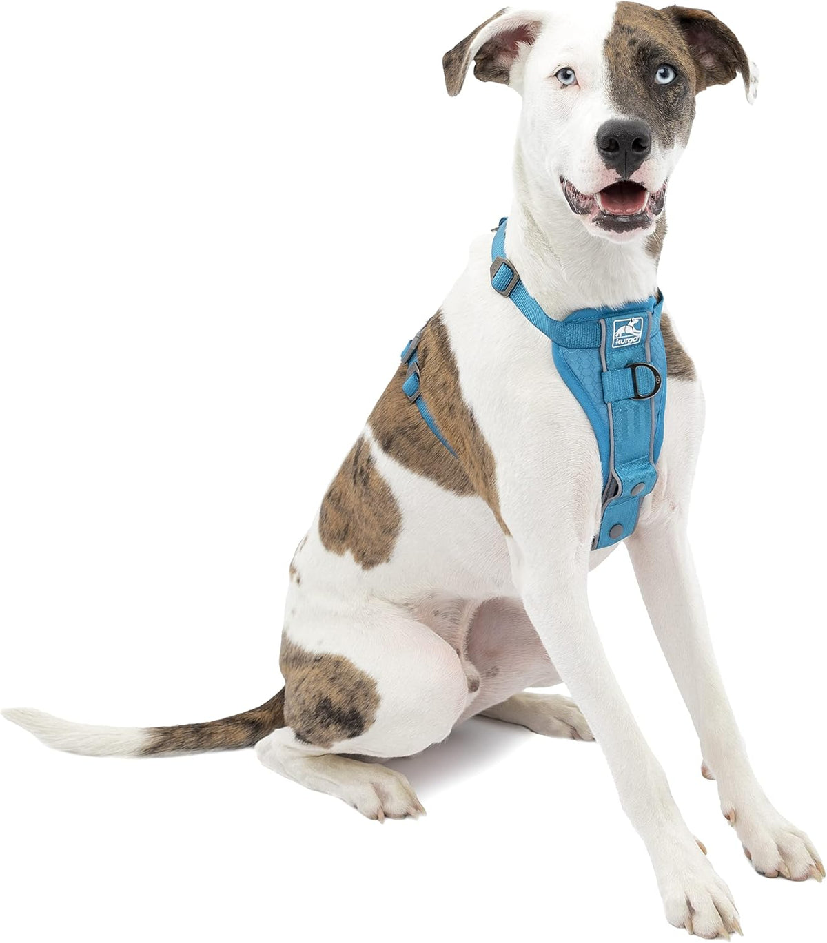 Kurgo Tru-Fit Dog Harness front view in black for large dogs