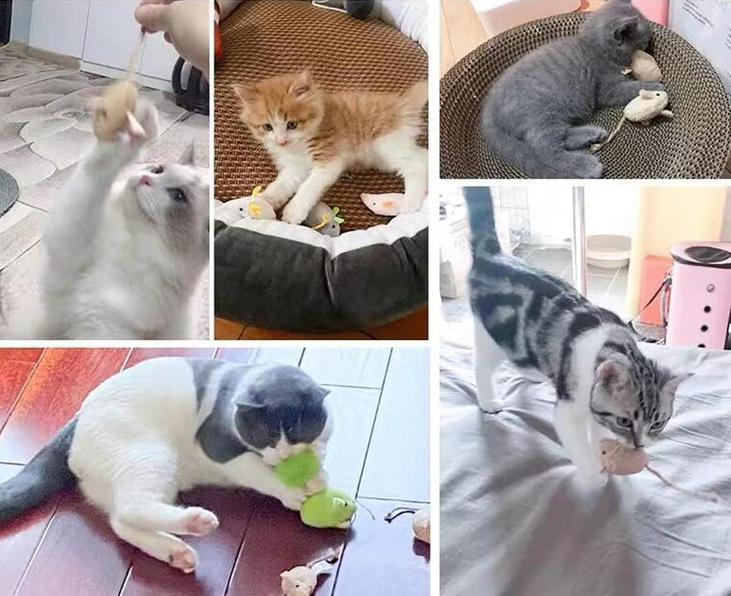 Cat chewing on a plush mouse toy for dental health benefits