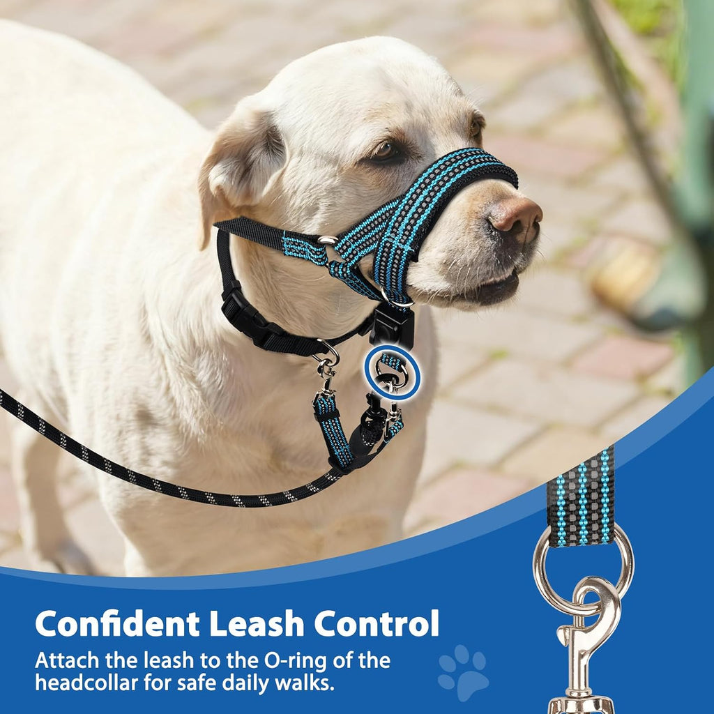 Barkless authentic imported dog head collar packaging and size chart details