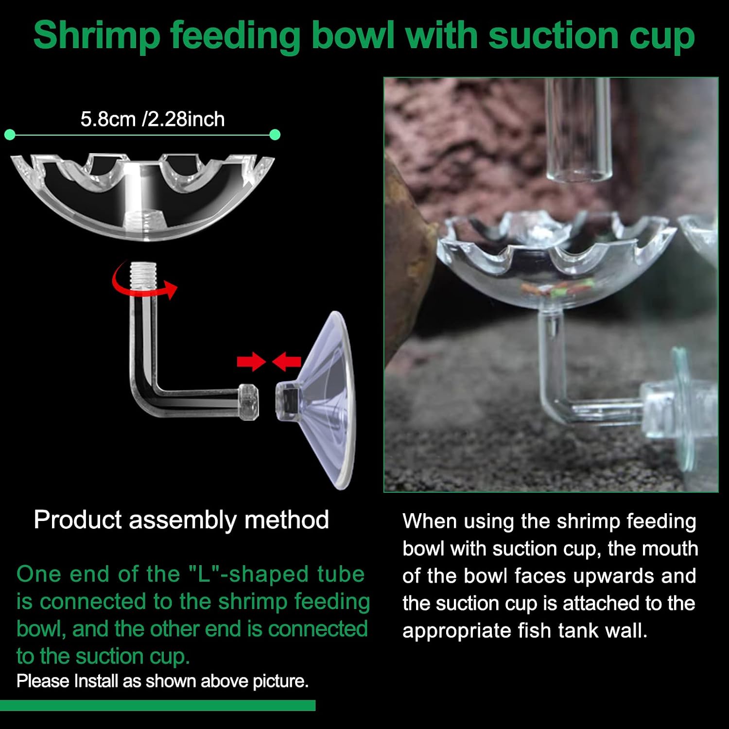 Aquarium suction cup feeding bowl with shrimp food delivery tube