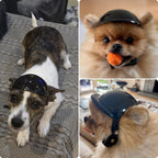 Inside view of Petleso pet helmet showing foam padding