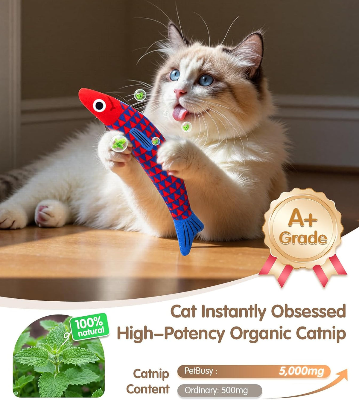 PetBusy catnip plush fish toy pack of two in bright colors