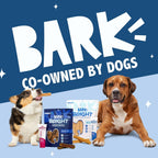 Barkbox Bright durable chew sticks in a bowl for small dogs
