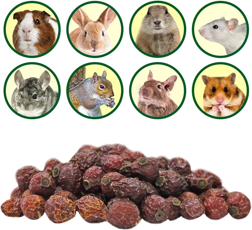 Exotic Nutrition dried rose hips natural herbivore treat close up