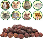 Exotic Nutrition dried rose hips natural herbivore treat close up