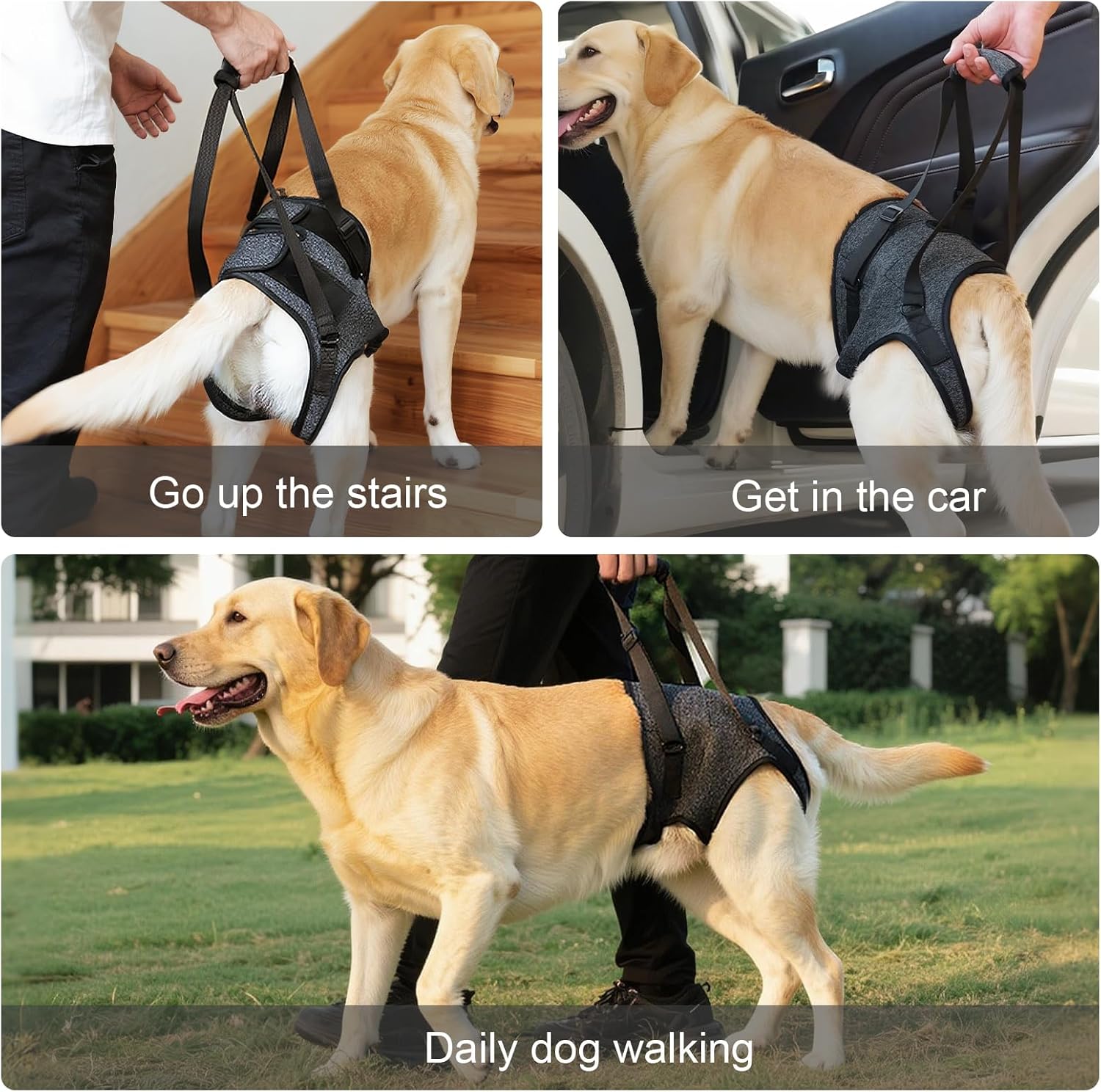 Comfortable dog sling for orthopedic recovery