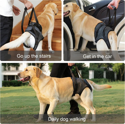 Comfortable dog sling for orthopedic recovery