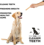 Project Hive dog dental treats showing the unique ridged exterior texture