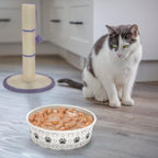 SOUJOY shallow paper puppy bowl demonstrating leak proof coating