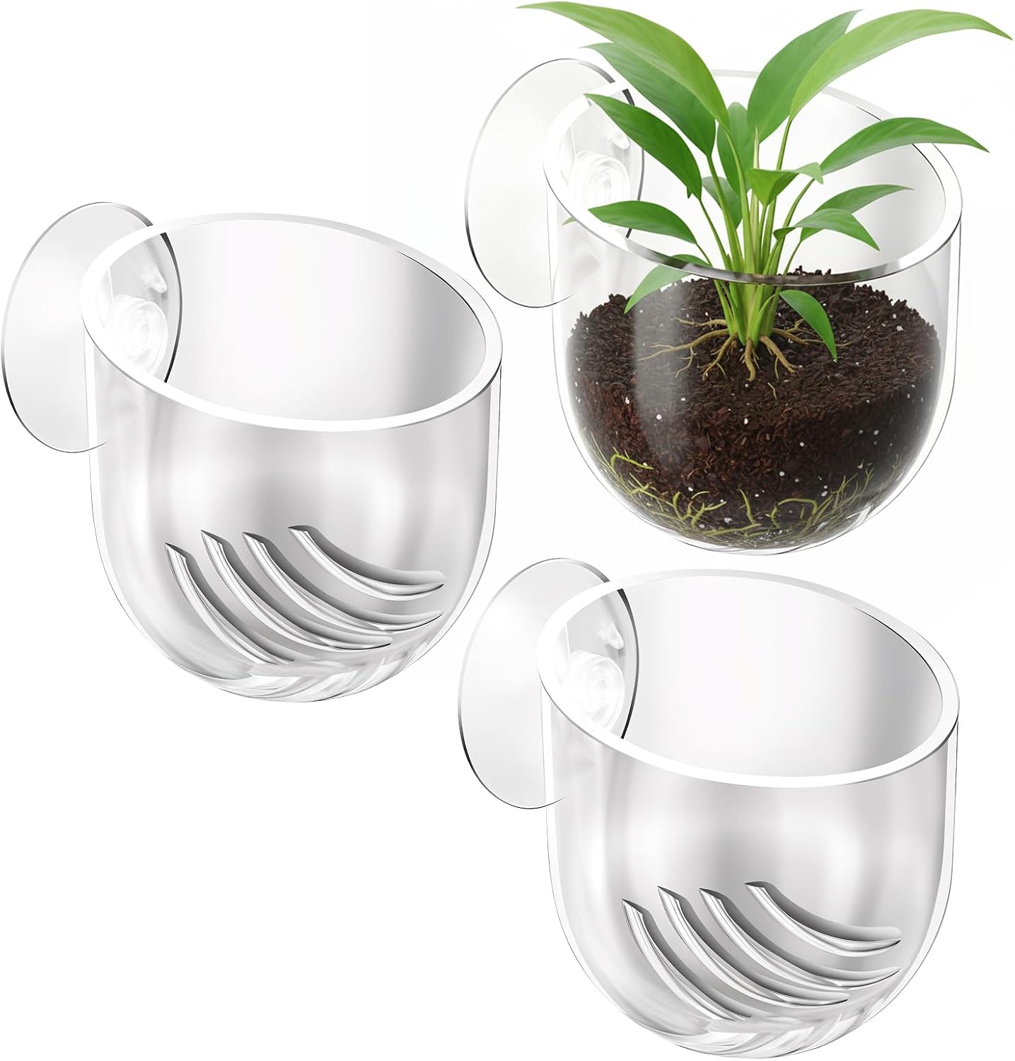 Eldraqth clear aquarium plant holder three pack front view attached to fish tank glass with live plants