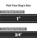 Taglory pet lead heavy duty alloy metal three hundred sixty degree swivel hook