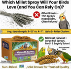 Nemeth Farms Spray Millet - Edible Tops Only, Non-GMO and Sun-Dried - 1 lb for Parakeets, Canaries and Finches - Image 8