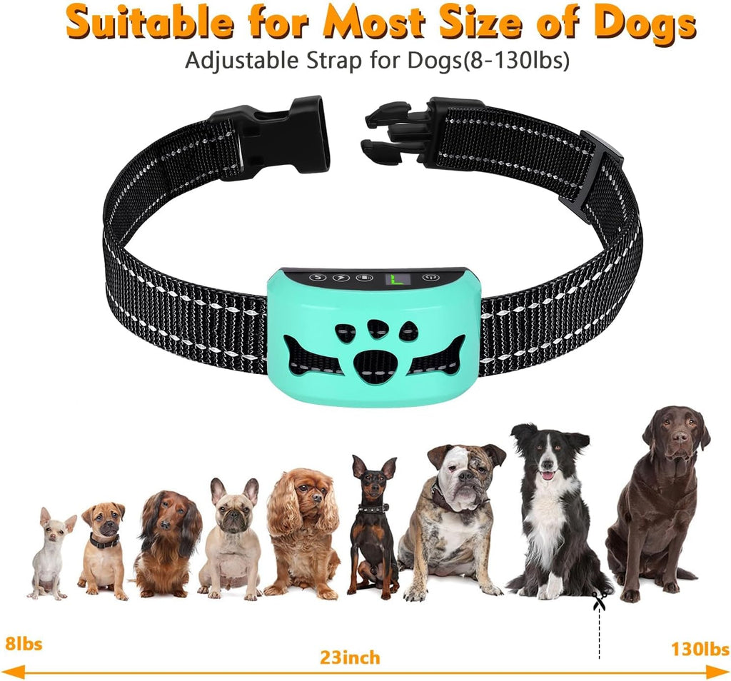 Waterproof BXQ training collar for large dogs